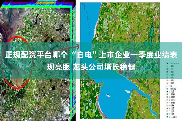正规配资平台哪个 “白电”上市企业一季度业绩表现亮眼 龙头公