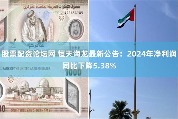 股票配资论坛网 恒天海龙最新公告：2024年净利润同比下降5
