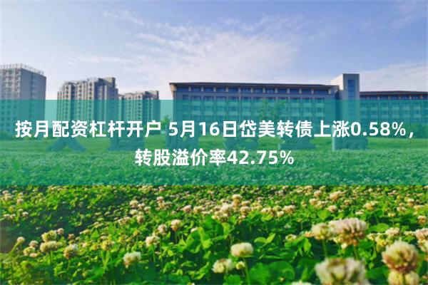 按月配资杠杆开户 5月16日岱美转债上涨0.58%，转股溢价