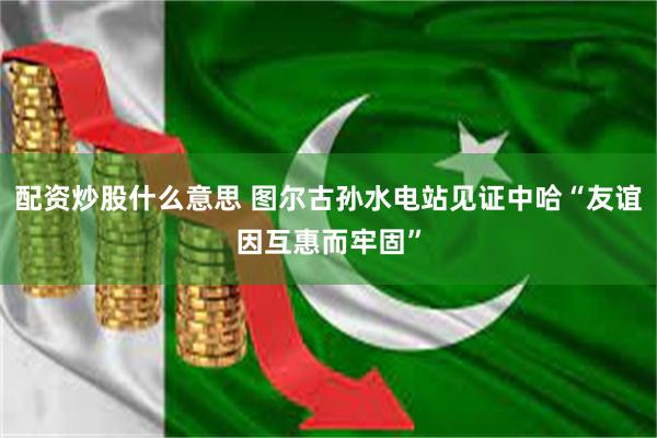 配资炒股什么意思 图尔古孙水电站见证中哈“友谊因互惠而牢固”