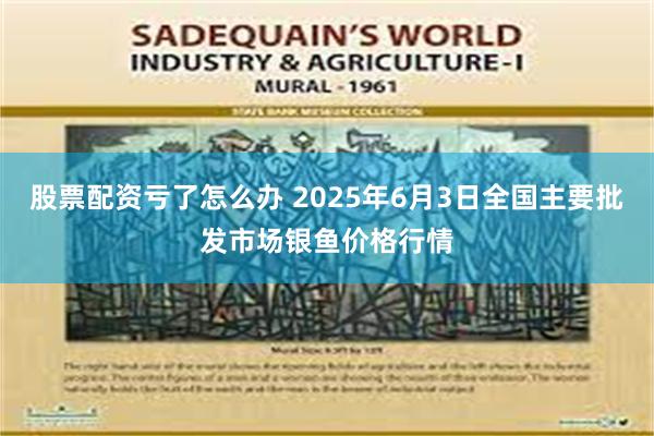 股票配资亏了怎么办 2025年6月3日全国主要批发市场银鱼价