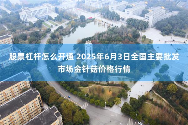 股票杠杆怎么开通 2025年6月3日全国主要批发市场金针菇价