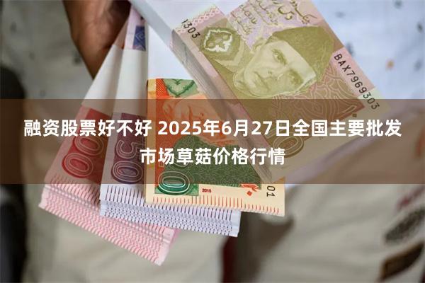 融资股票好不好 2025年6月27日全国主要批发市场草菇价格