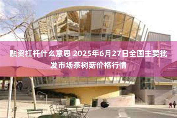 融资杠杆什么意思 2025年6月27日全国主要批发市场茶树菇