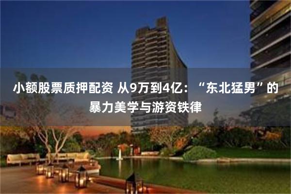 小额股票质押配资 从9万到4亿：“东北猛男”的暴力美学与游资