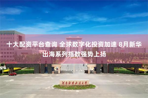 十大配资平台查询 全球数字化投资加速 8月新华出海系列指数强