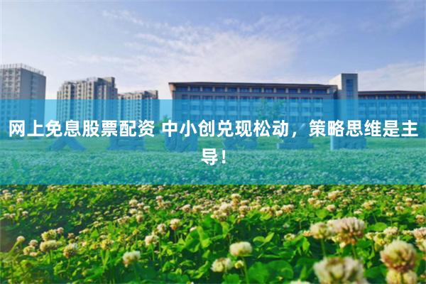 网上免息股票配资 中小创兑现松动,策略思维是主导!